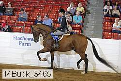 14buck_3465 proof