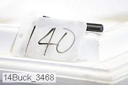 14buck_3468 proof