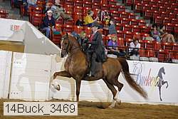 14buck_3469 proof