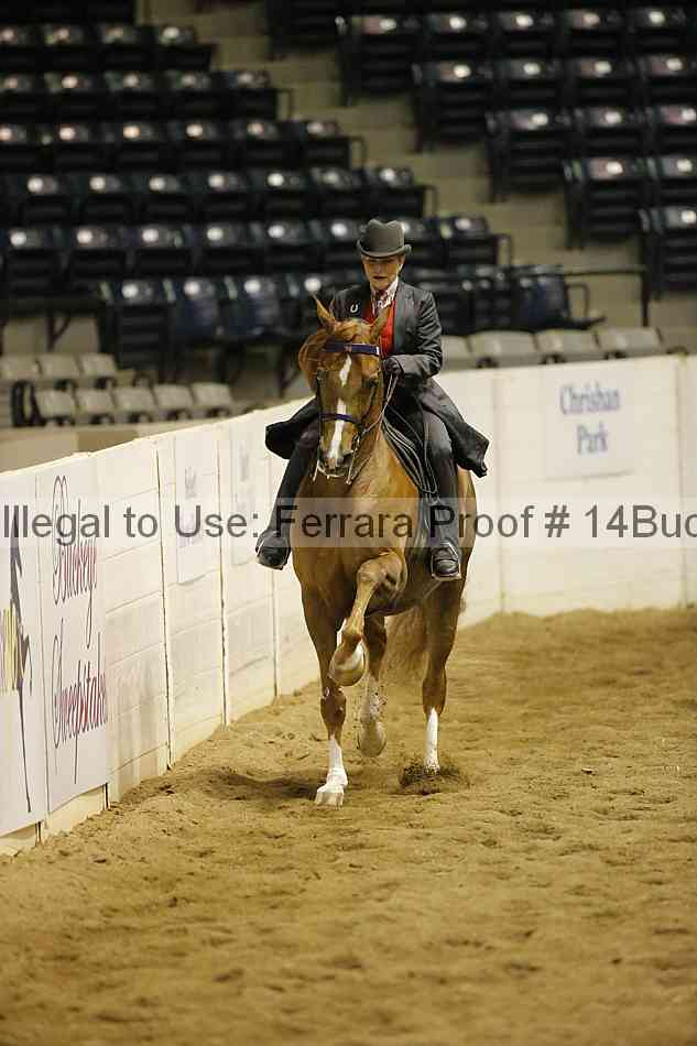 Proof 14buck_3470