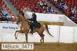 14buck_3471 proof