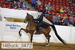 14buck_3472 proof