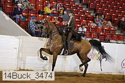 14buck_3474 proof