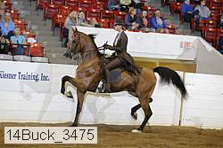 14buck_3475 proof