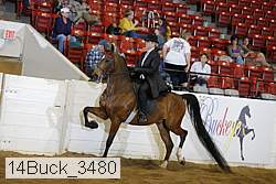 14buck_3480 proof