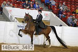 14buck_3482 proof
