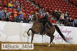 14buck_3484 proof