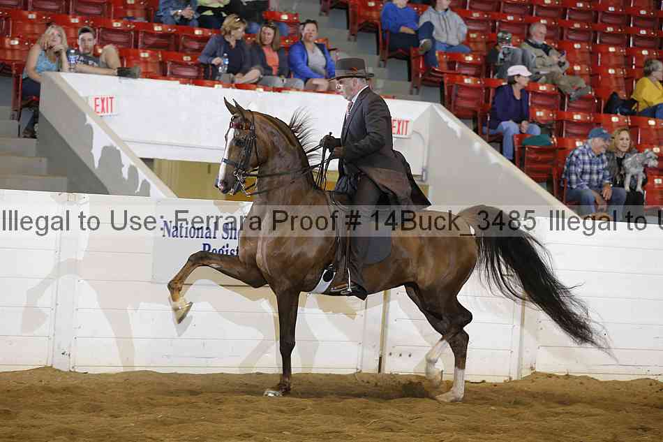 Proof 14buck_3485