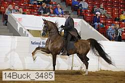 14buck_3485 proof
