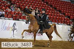 14buck_3487 proof