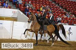 14buck_3489 proof