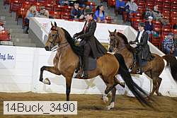 14buck_3490 proof