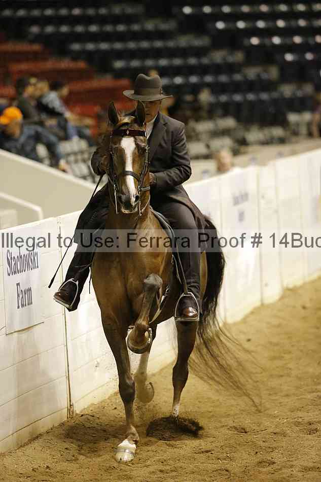 Proof 14buck_3491