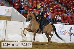 14buck_3492 proof