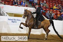 14buck_3496 proof
