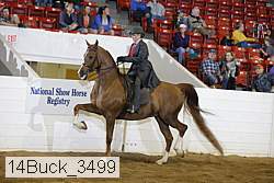 14buck_3499 proof
