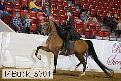 14buck_3501 proof