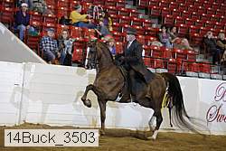 14buck_3503 proof