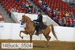 14buck_3504 proof
