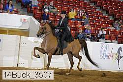 14buck_3507 proof