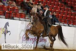 14buck_3509 proof