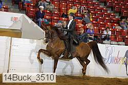 14buck_3510 proof