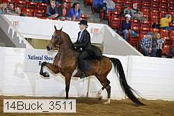14buck_3511 proof