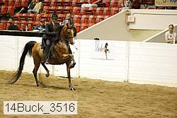 14buck_3516 proof