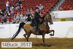 14buck_3517 proof