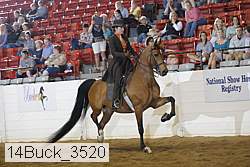 14buck_3520 proof