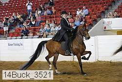 14buck_3521 proof