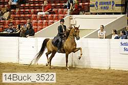 14buck_3522 proof