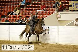 14buck_3524 proof