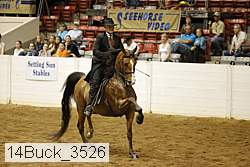 14buck_3526 proof