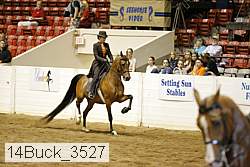 14buck_3527 proof