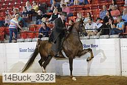 14buck_3528 proof