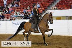 14buck_3529 proof