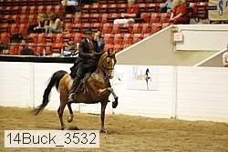 14buck_3532 proof