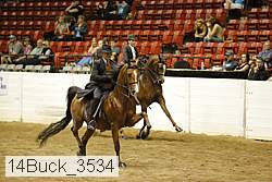 14buck_3534 proof