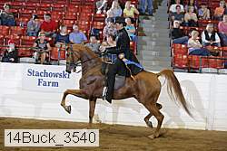14buck_3540 proof