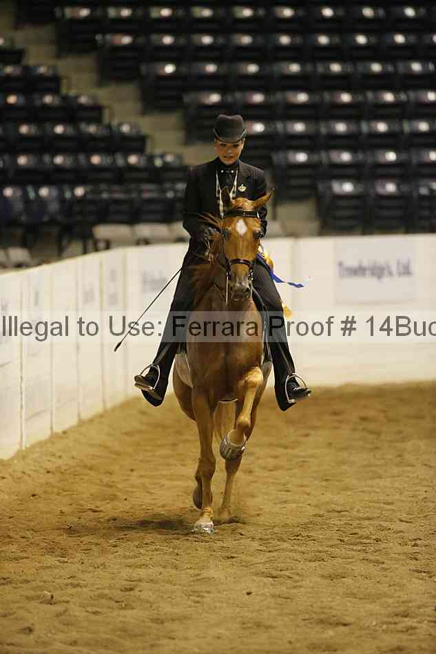 Proof 14buck_3541
