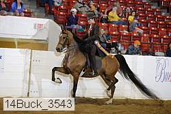14buck_3543 proof