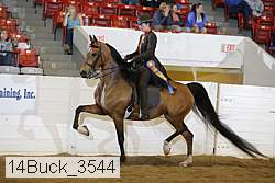 14buck_3544 proof