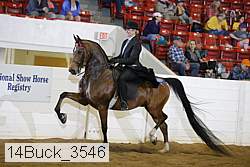 14buck_3546 proof