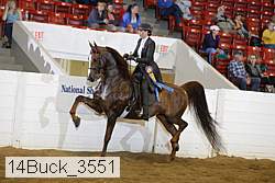 14buck_3551 proof