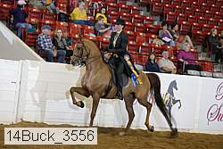 14buck_3556 proof