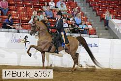 14buck_3557 proof