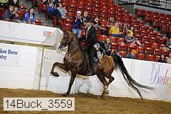 14buck_3559 proof