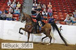 14buck_3561 proof