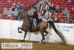 14buck_3563 proof
